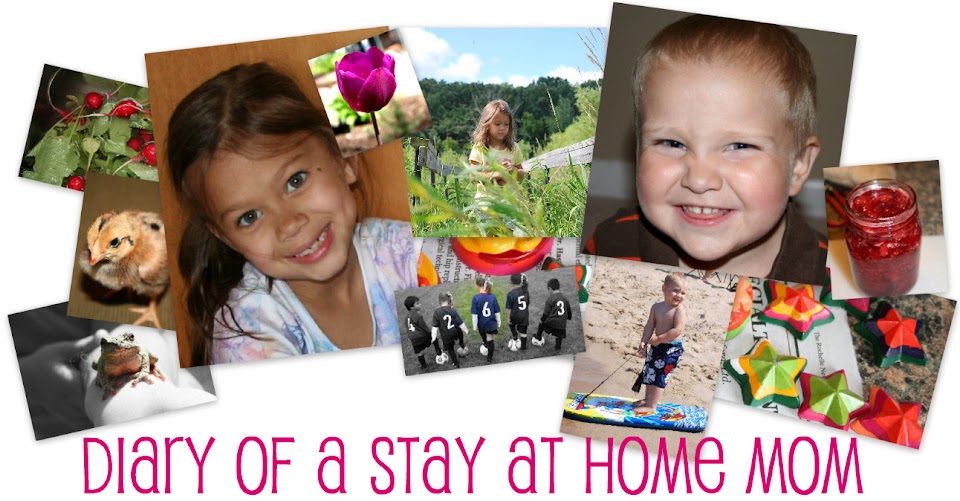 Diary of a Stay at Home Mom