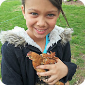 Check out My Baby Chicks New Home